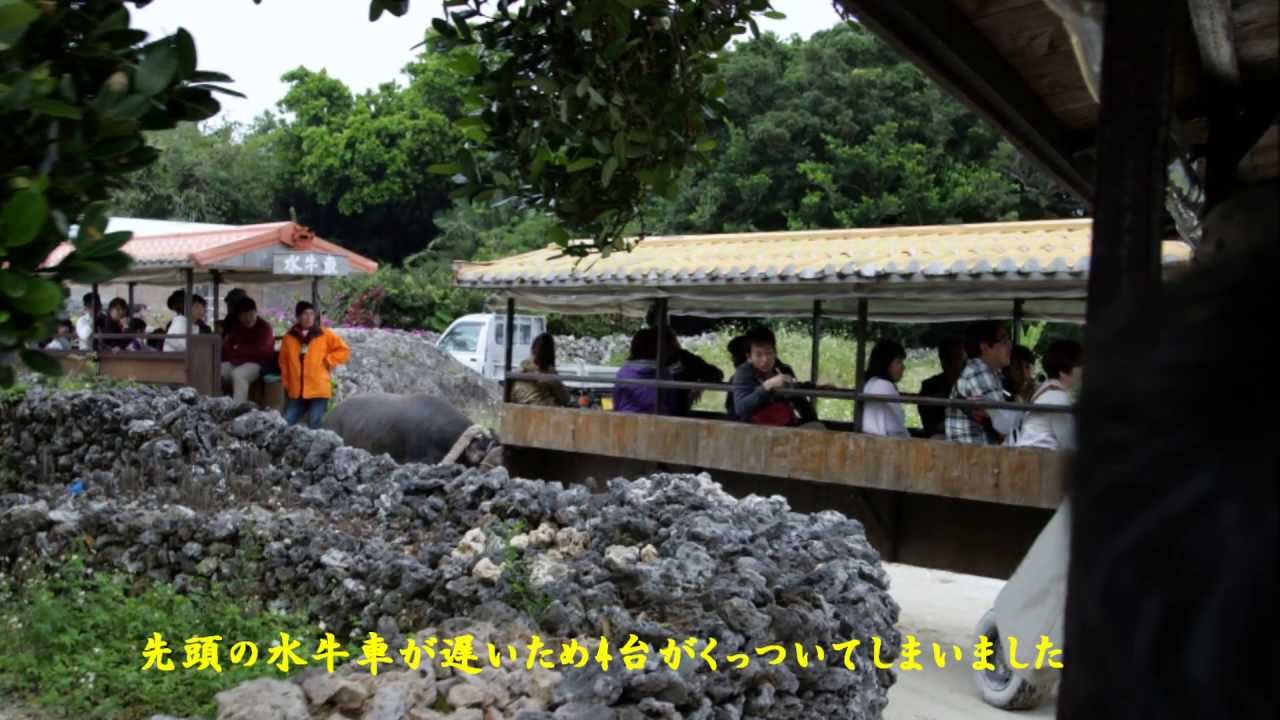 絶世の美女 安里屋ユンタ