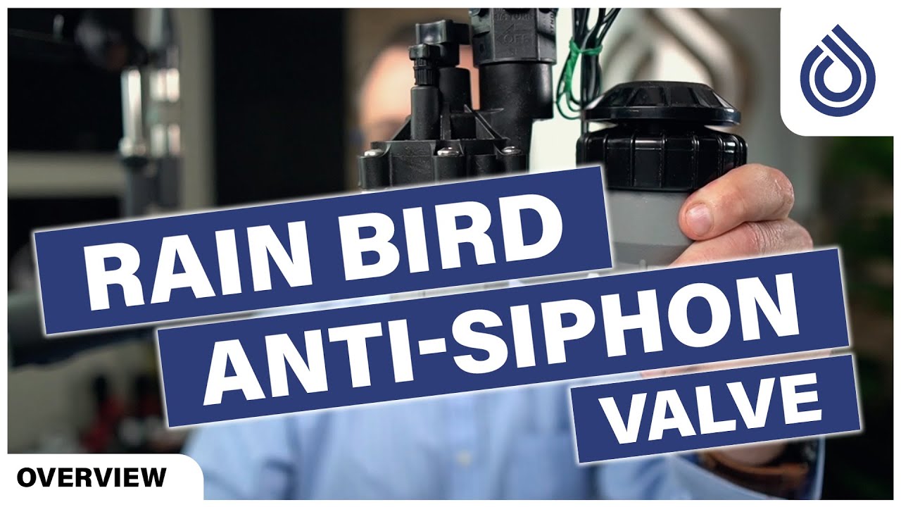 Rain Bird Anti-Siphon Valve, ASVF