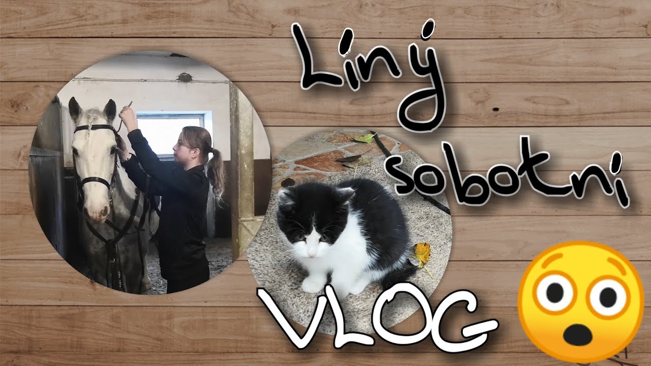 Našli jsme kotě? | Gedík má nového jezdce!