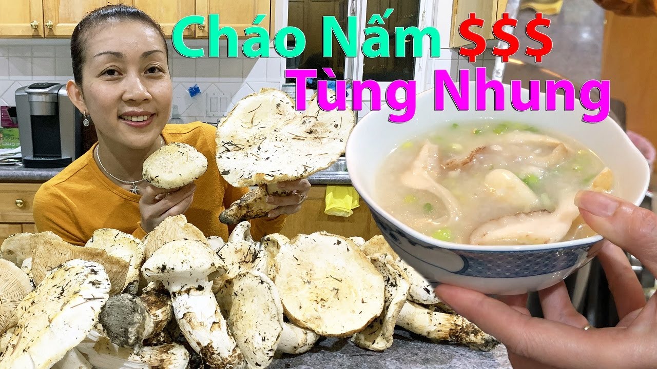 Cháo Nấm Tùng Nhung Đắt Ngon Bổ Dưỡng Ngăn Ngừa Ung Thư 🇨🇦439》Matsutake 松茸 송이