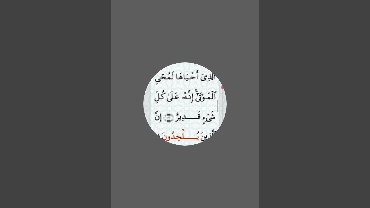 بدأت قناة 