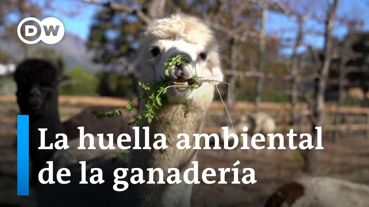 Prácticas más sostenibles. El programa completo
