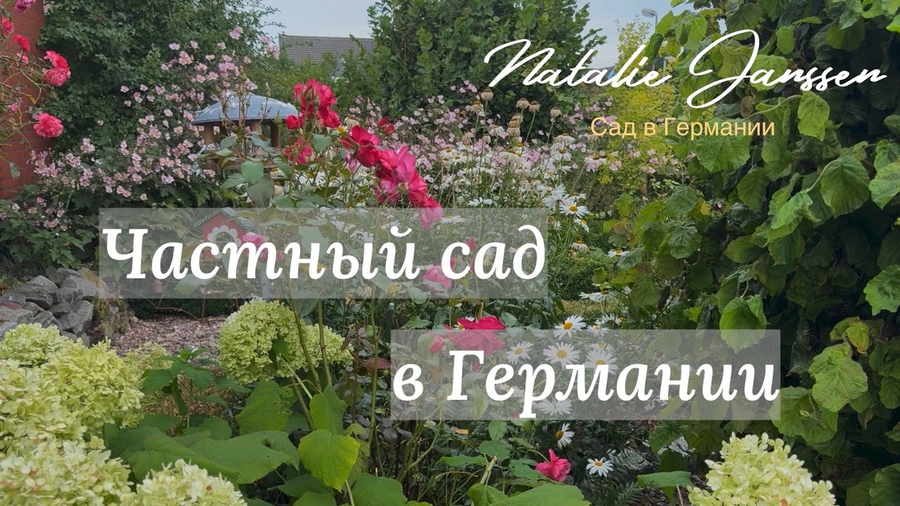 Типичный приватный сад на севере Германии 🌿 Прогулка по саду знакомой 🌿