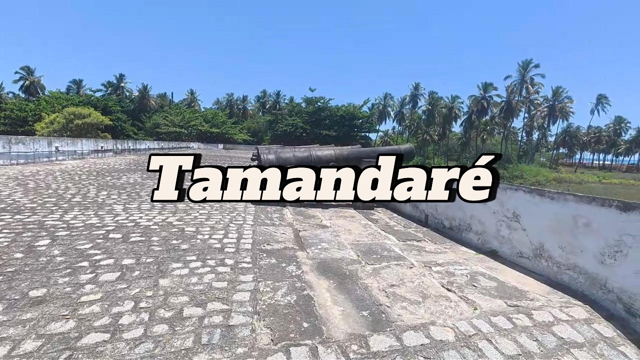 Tamandar&eacute; - PE