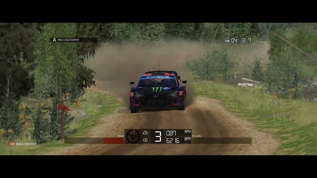 RBR richard burns rally ( Sherwood forest ll summer ) emanuele455