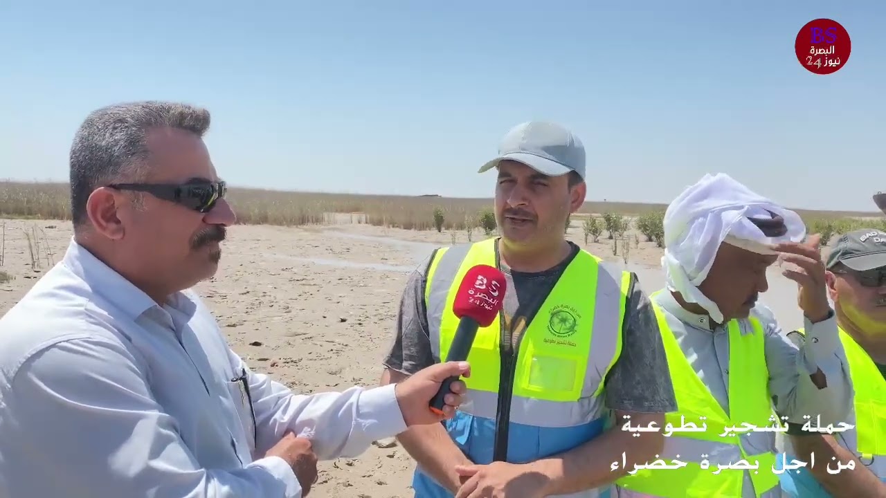 بصرة خضراء   شط العرب.   شجرة المانكروف