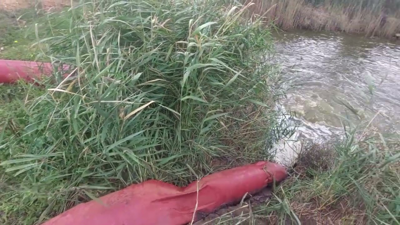River Murray floodplain de-watering at Mypolonga