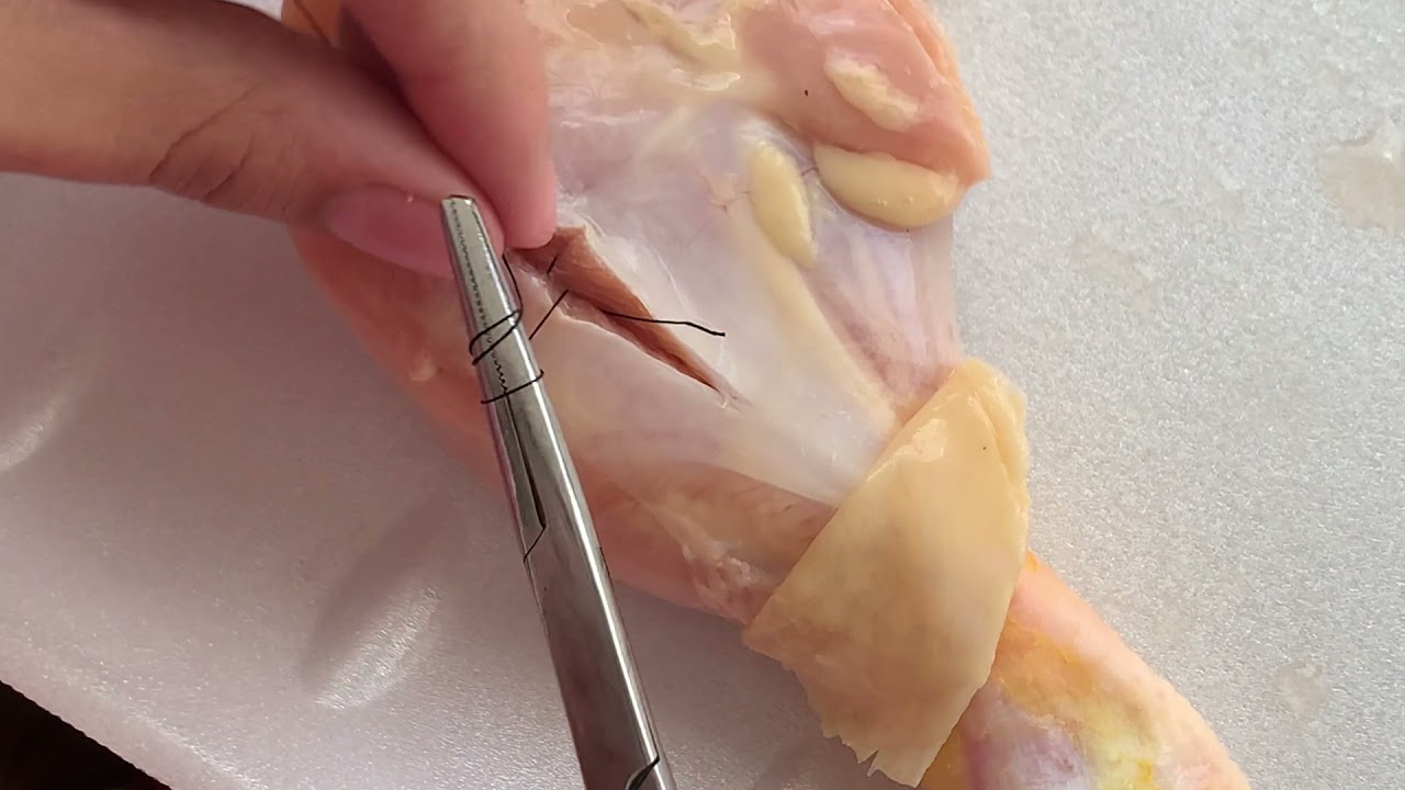 Punto simple invertido