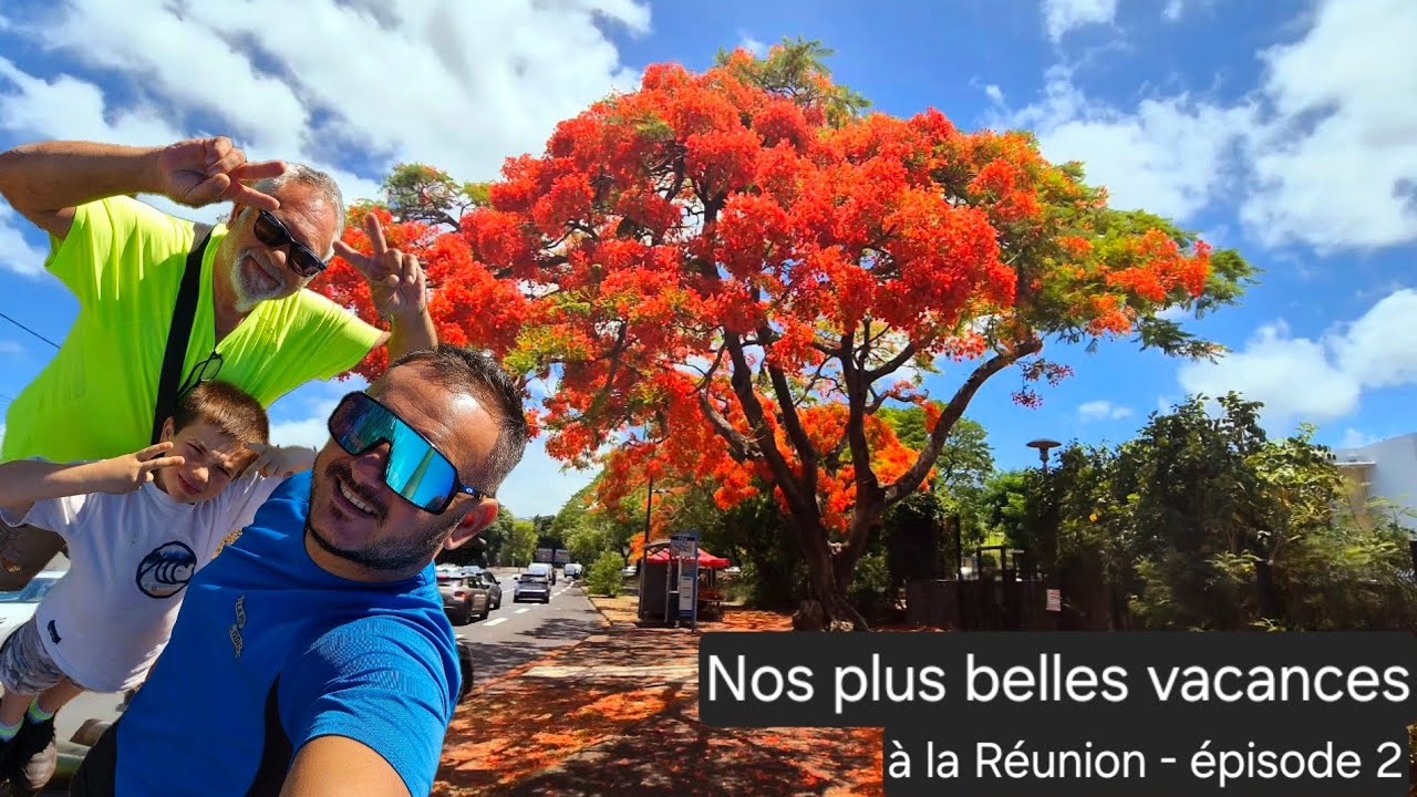 🇷🇪 NOS PLUS BELLES VACANCES À LA RÉUNION  - Épisode 2 : Noël sous les flamboyants 🧑‍🎄☀️