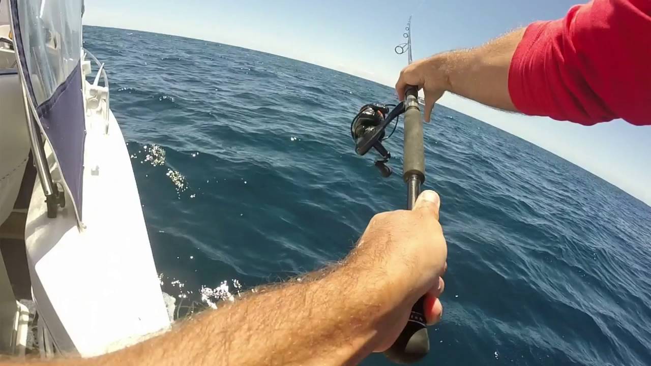 SA HIGH SPEED SPINNING FOR BLUEFIN FISHING SA MAGAZINE