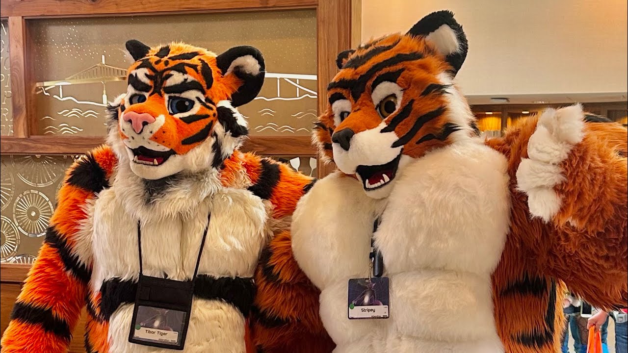 Furlandia 2025 (Furlandia 25) 