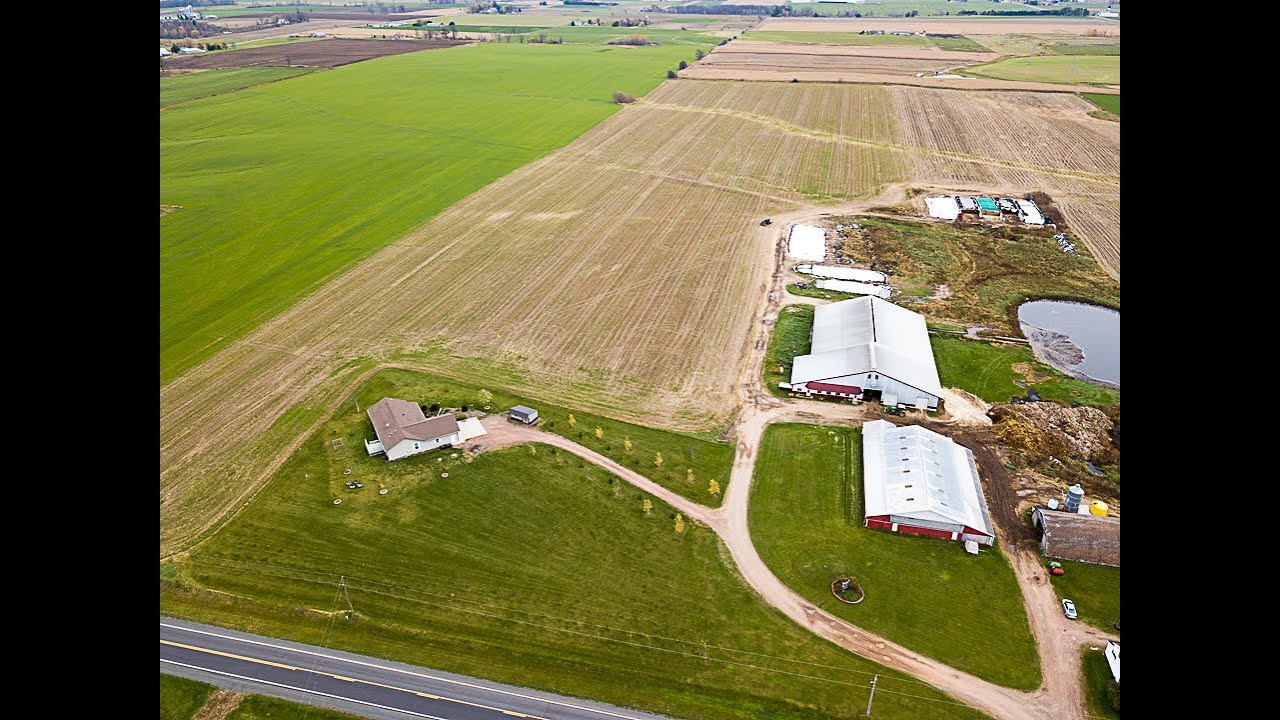 N13848 County Rd. M, Thorp, WI 54771 Dairy farm for sale