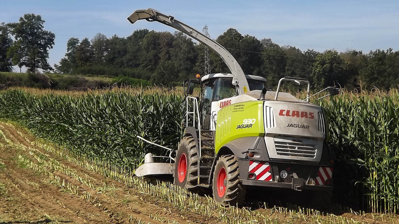 Ensilage de maïs | Claas Jaguar 930 & Claas RU 450
