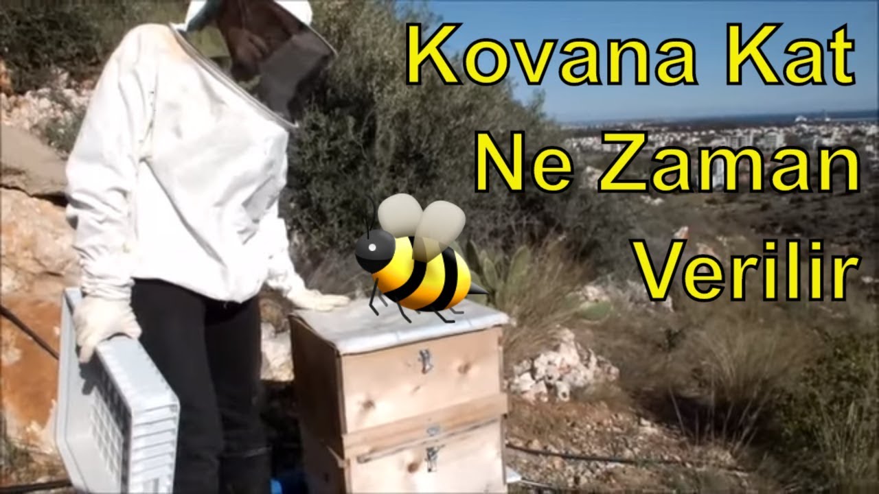 Arı Kovanına Kat Verme :)