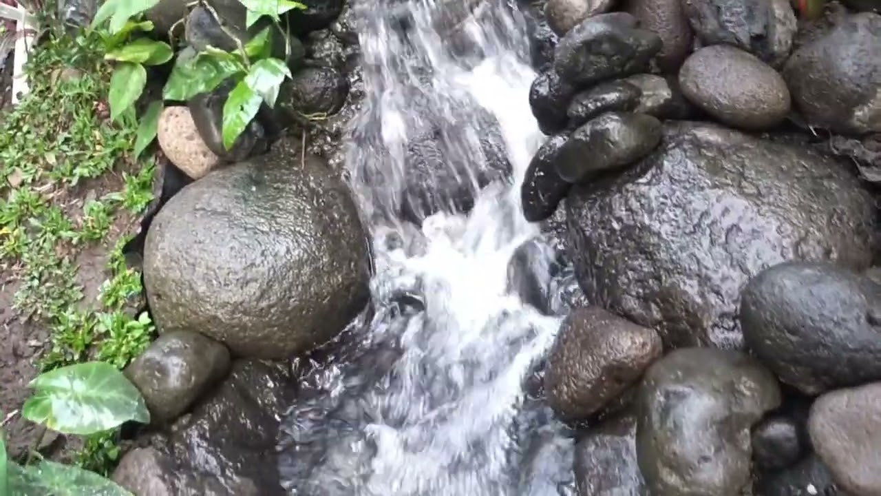 Kolam ikan koi natural menggunakan geomembran #koi #nature #kolamikan #koifish