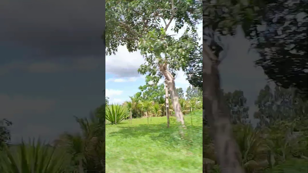 Deus está no controle de tudo 🙌