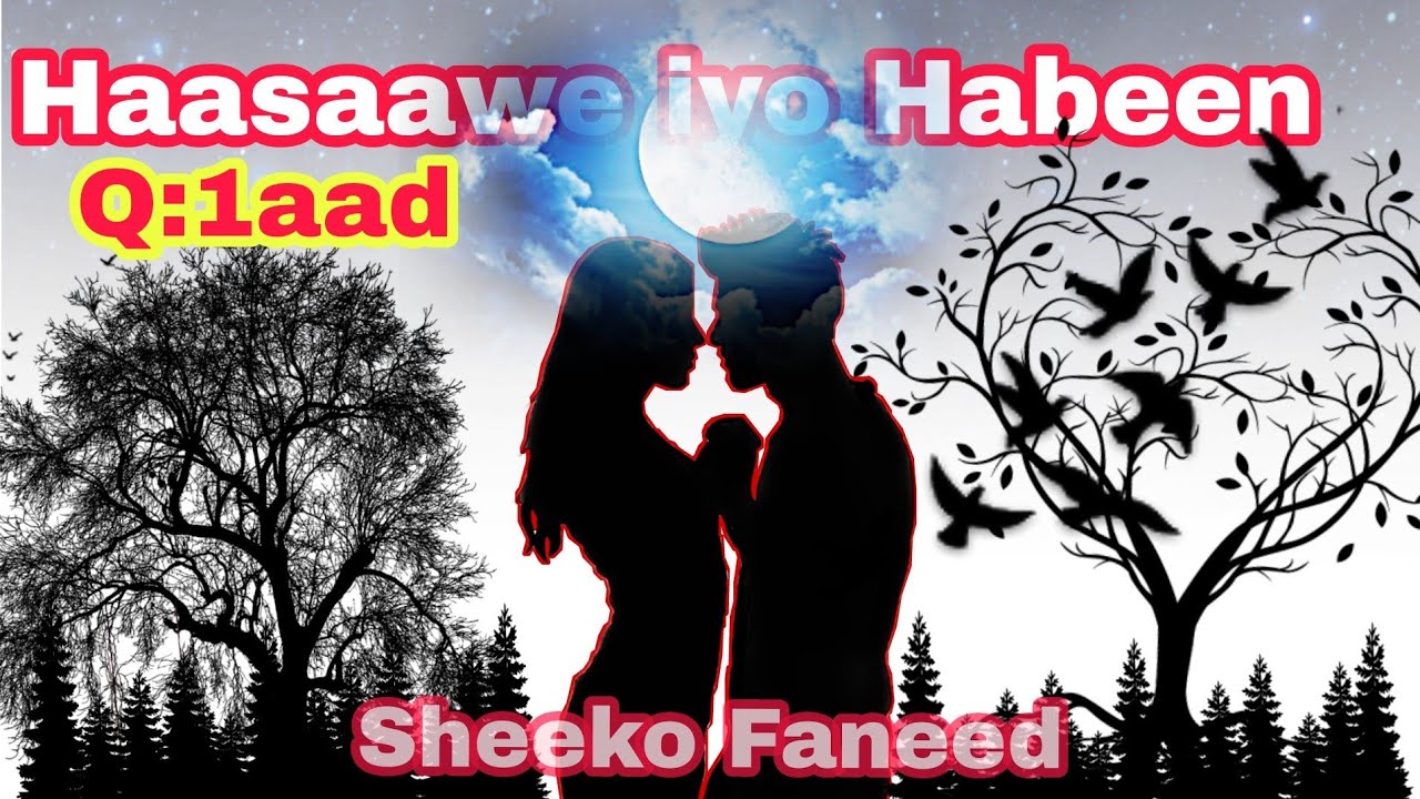 Haasaawe iyo Habeen | Sheeko faneed