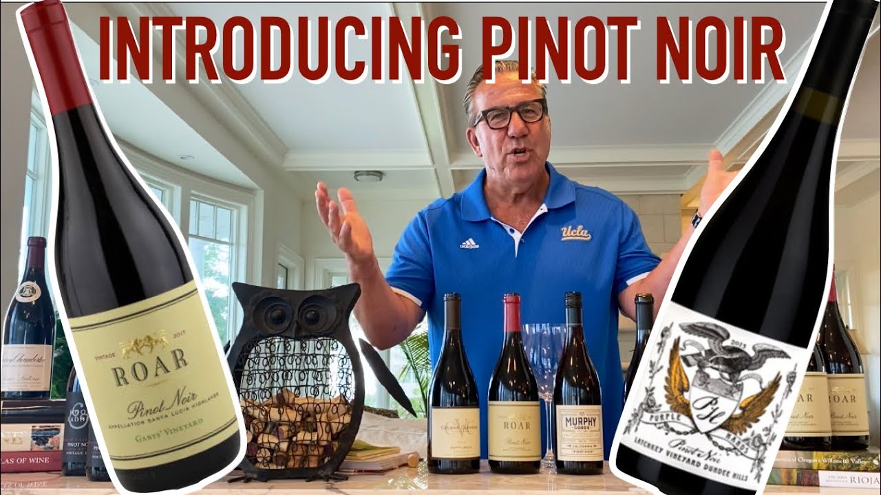 Introduction To Pinot Noir || Decants With D