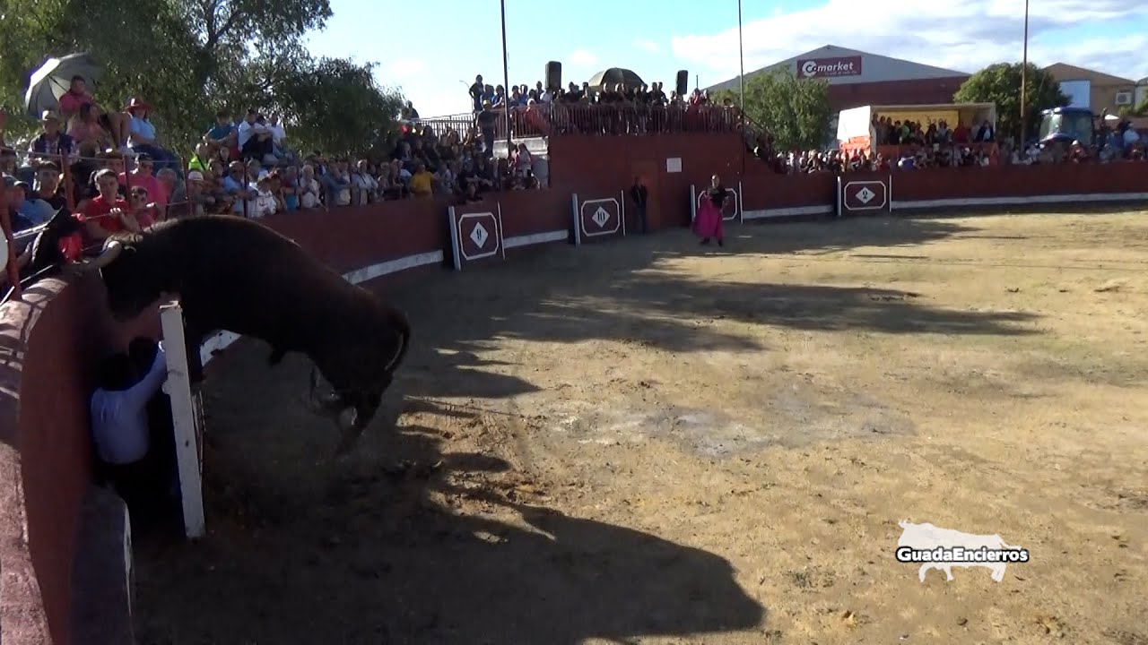 Toro Saltarin Recortes Pozo de Guadalajara GuadaEncierros