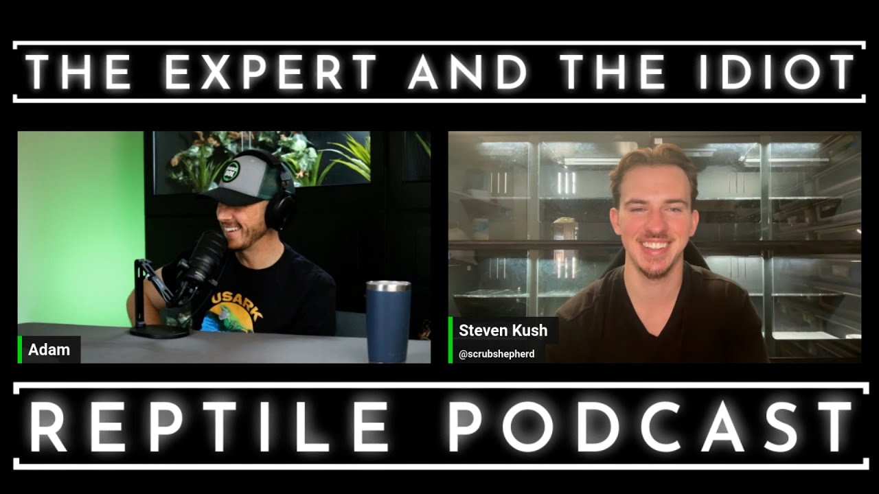 02 - Steven Kush of Kush's Korner - The Expert and The Idiot - A Reptile Podcast