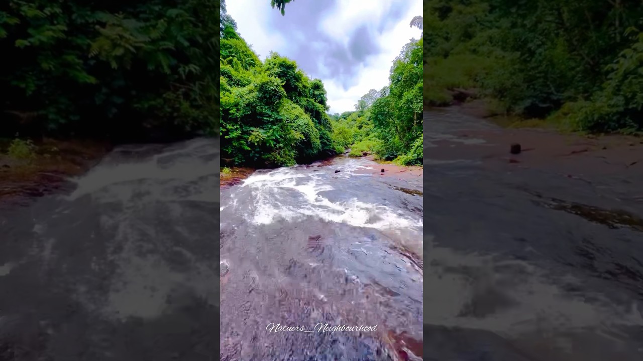 Gadgada waterfall chatikona #nature #travel #chatikona #gadgadawaterfall #niyamgirihill #explore
