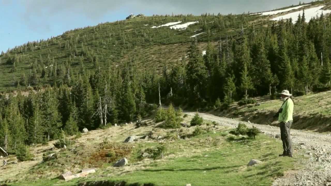 Valea Cepelor