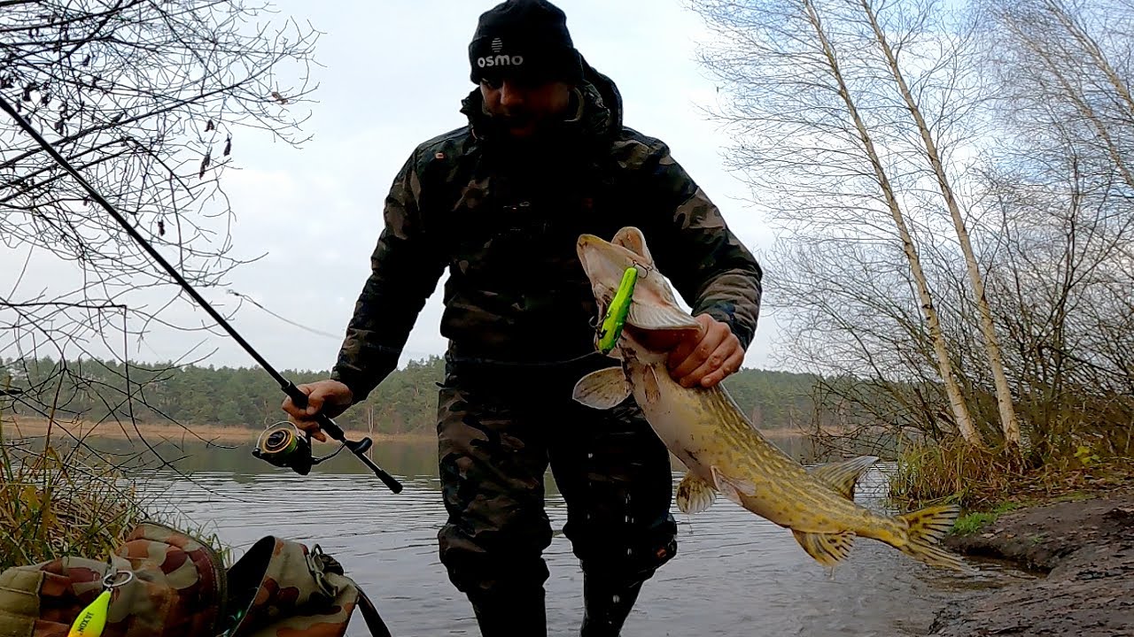 14 KROKODYLI z jednego miejsca !!! Z BRZEGU !!! Brały jak opętane !!!