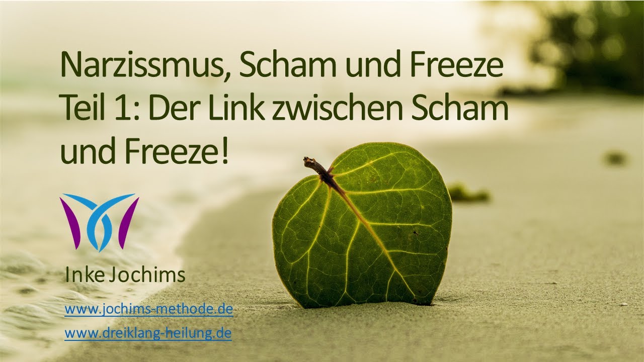 Narzissmus, Scham und Freeze - Narzissmus aus der Sicht der Polyvagal-Theorie