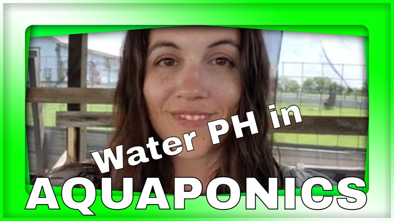 Importance of pH in Aquaponics - DIY