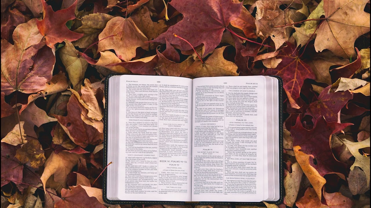 Interpretarea Biblica 2