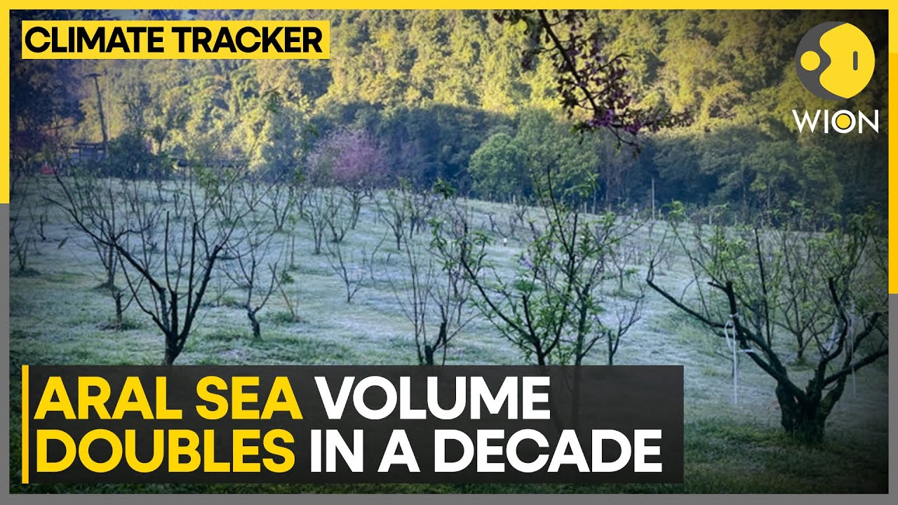 Once Dry, Aral Sea Sees New Life; Water Conservation Project Boosts Aral Sea Levels | WION