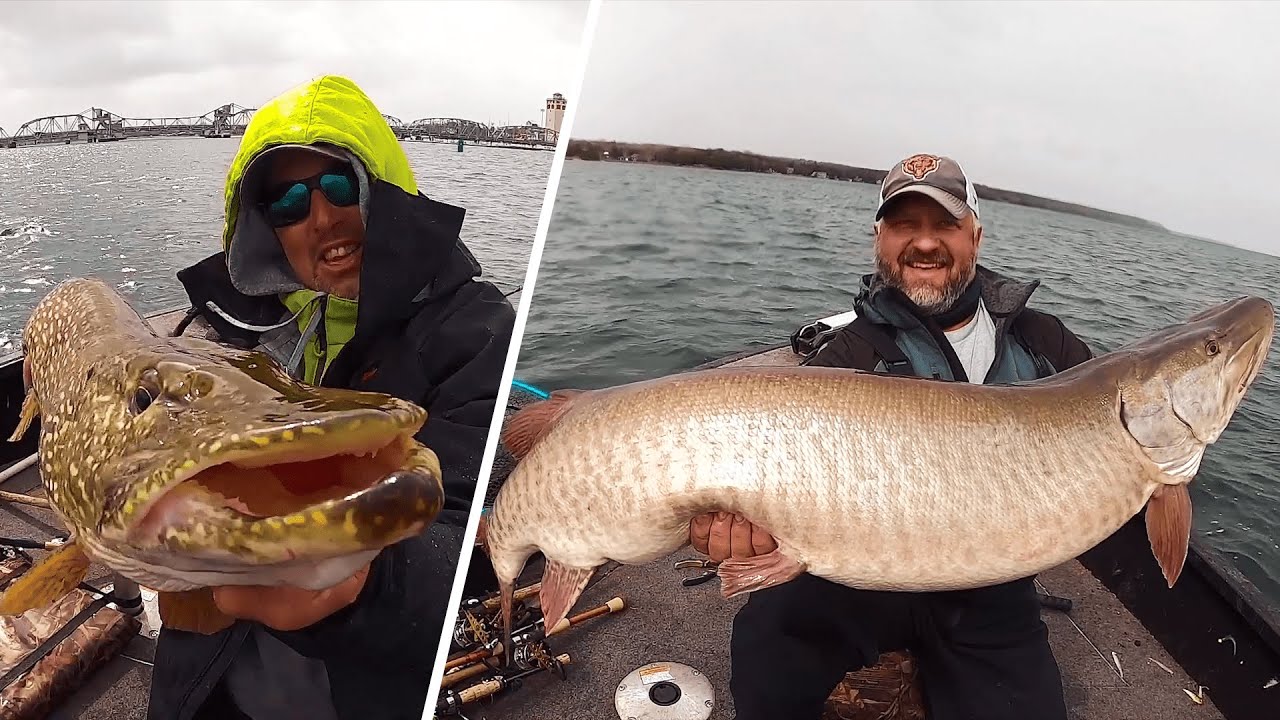 GIANT Muskie and Pike (New PB!)