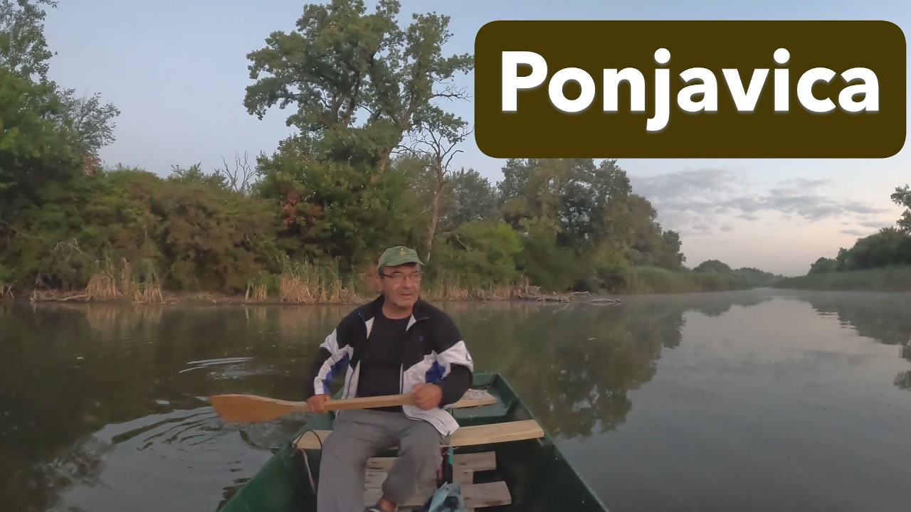 Veslanje Čamcem po Ponjavici Omoljica 2025
