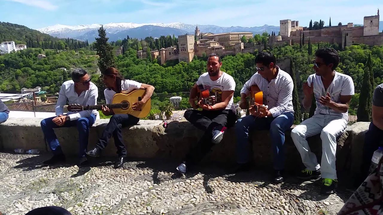 El gatico- granada en esencia