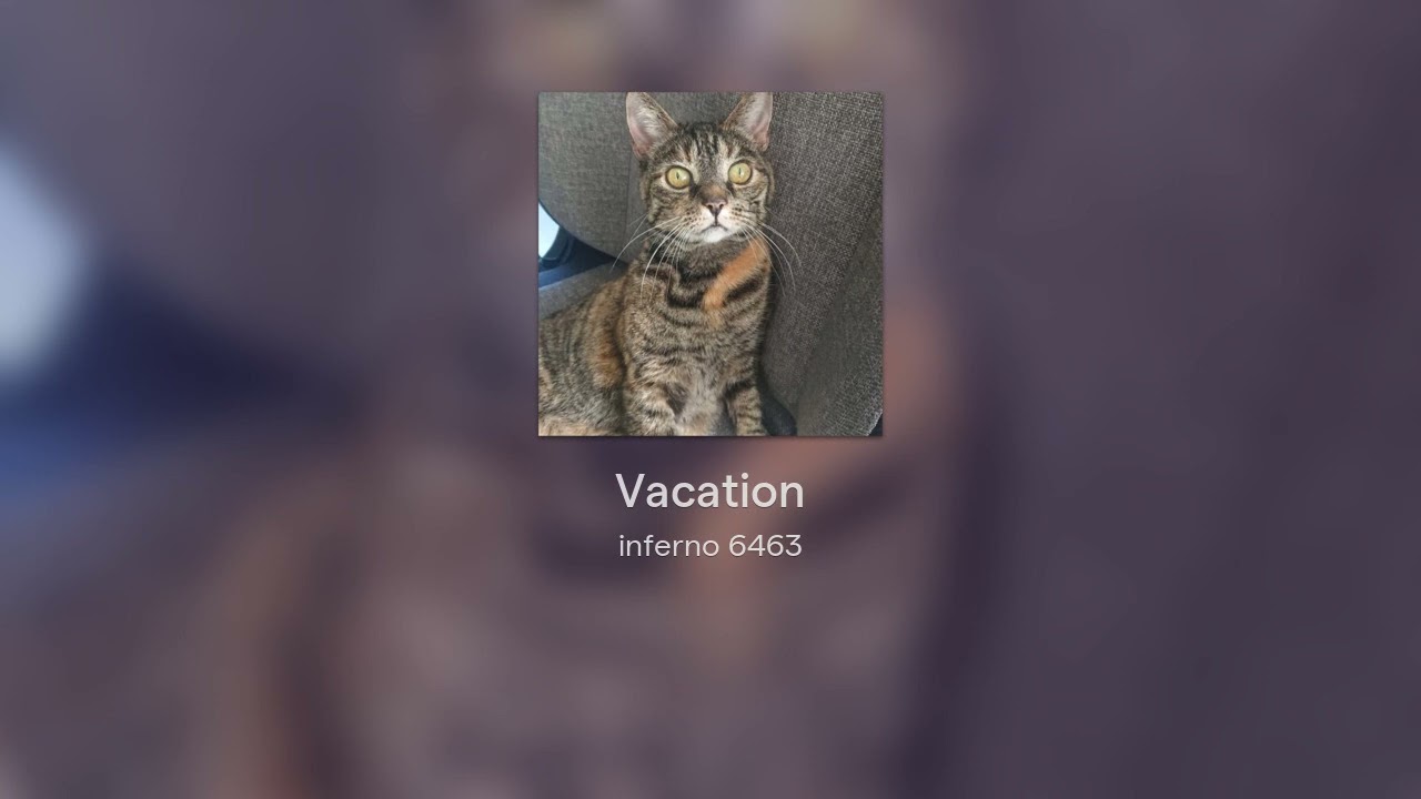 Vacation