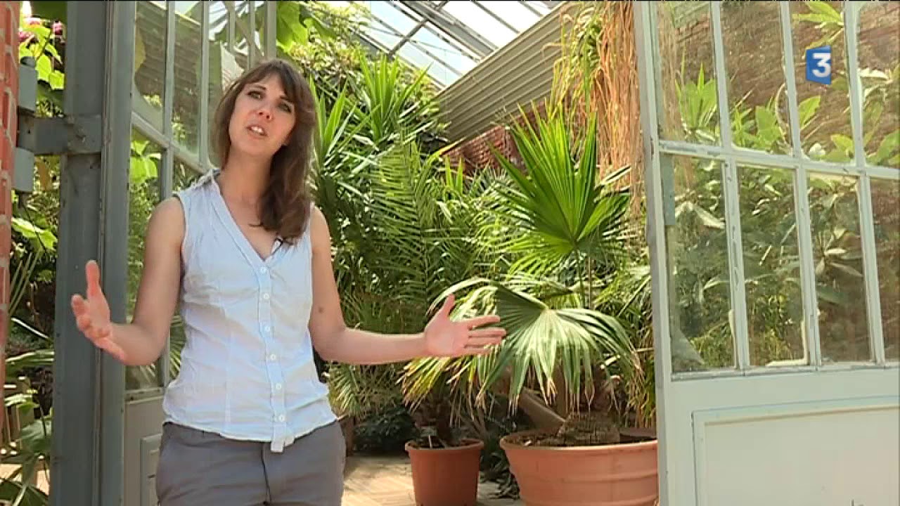 Les serres historiques du Jardin Botanique de Metz