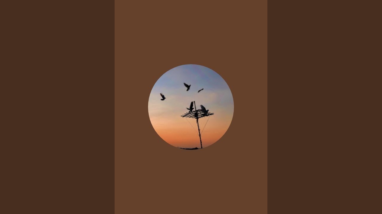 Nature & Pigeons Life is live!