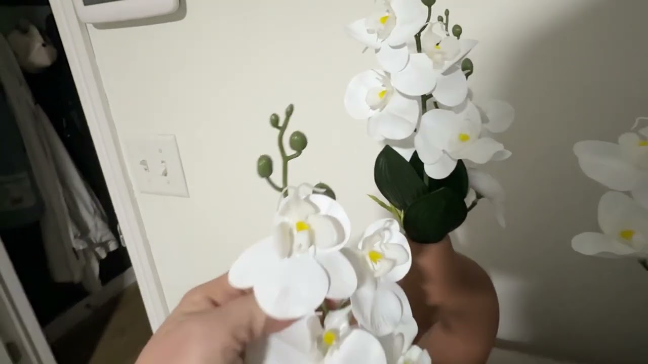 Looking for real like orchids and flowers  These are the best!