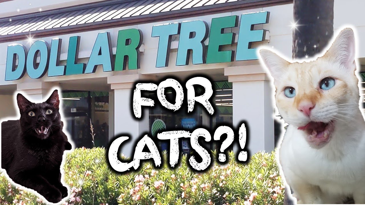 Как вам раздел «Кошки и котята» на Dollar Tree? Заглядываю и читаю обзор игрушек!