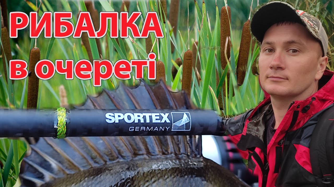 РИБАЛКА В ОЧЕРЕТІ  Окунь на НОВИЙ спінінг ловля окуня на ультралайт спінінг Sportex Neowave