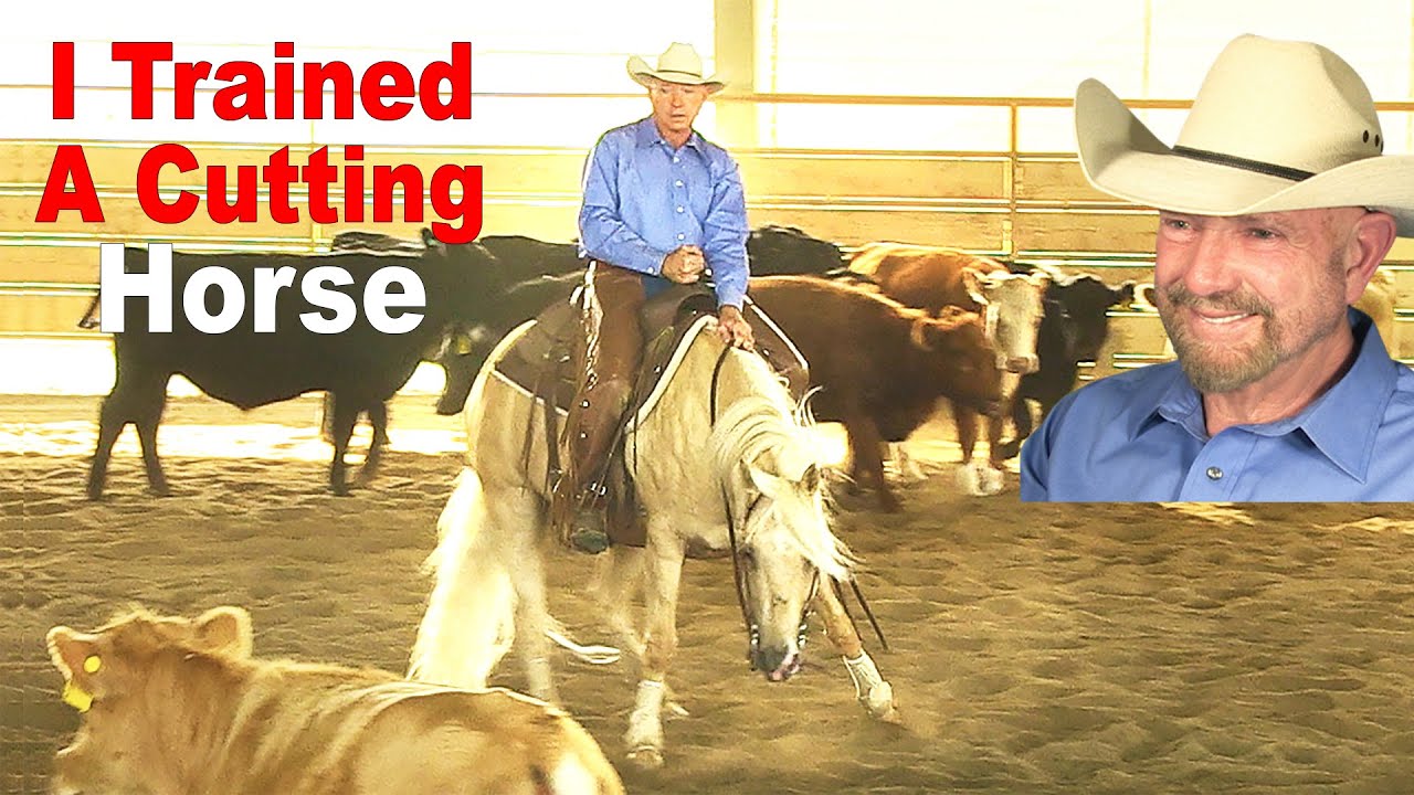 How I Trained This Cutting Horse - How to Train , Ride and Show a Cutting Horse