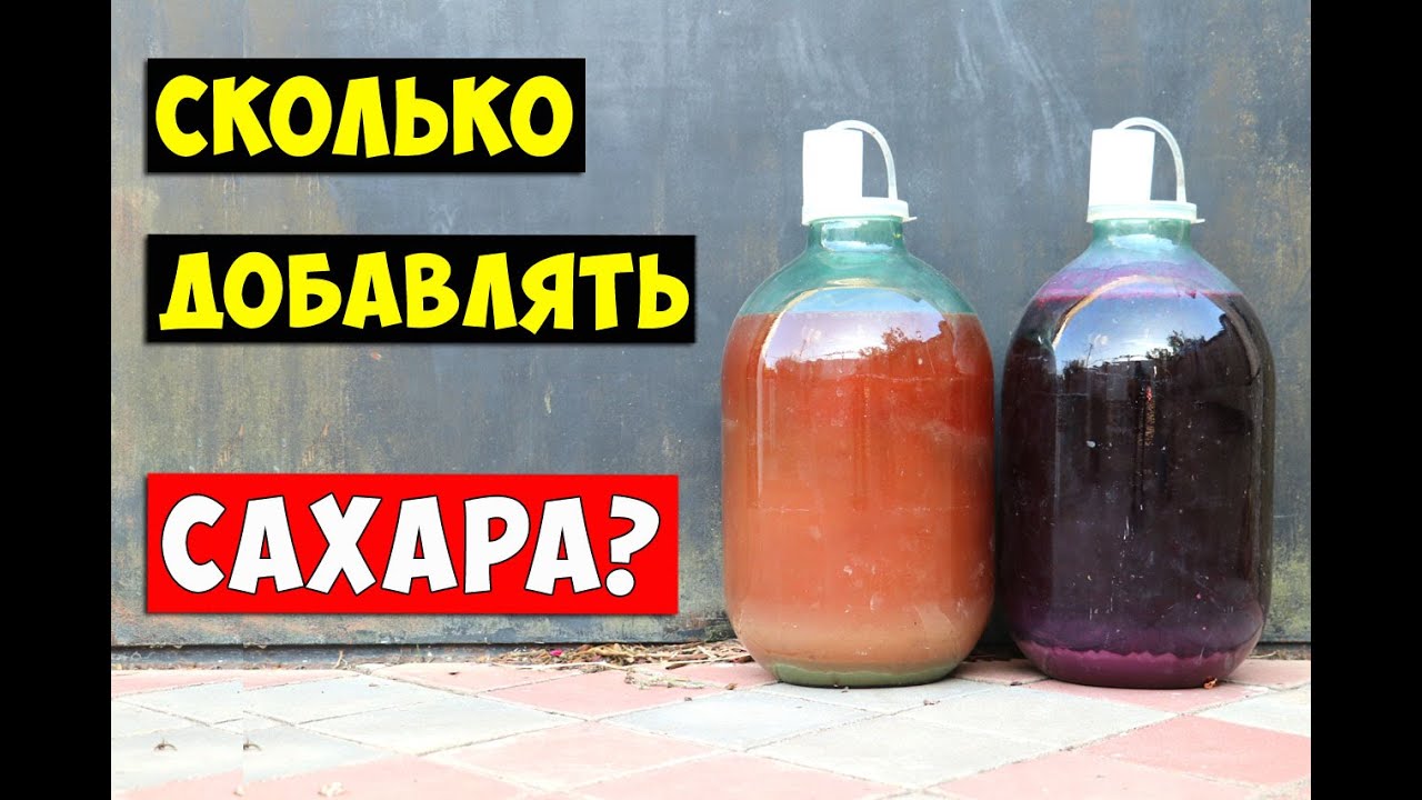 ВИНО! Сколько САХАРА добавлять в ВИНО?!