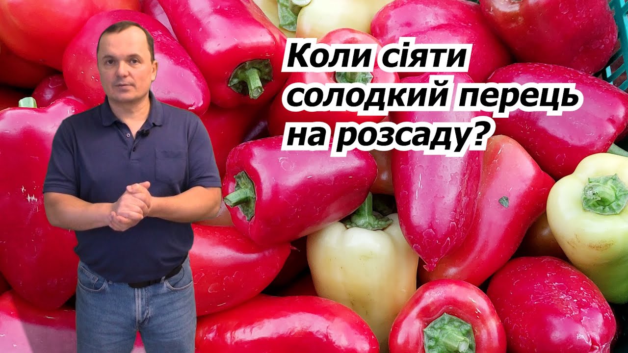 Посійте насіння перцю в ці строки та отримайте гарну розсаду!