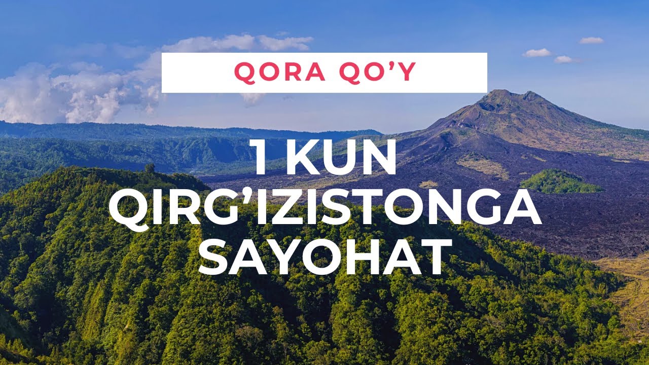 O’SHA MASHXUR QORA QO’Y TOG’IGA BORDIM | ARZIYDIMI BORISHGA?