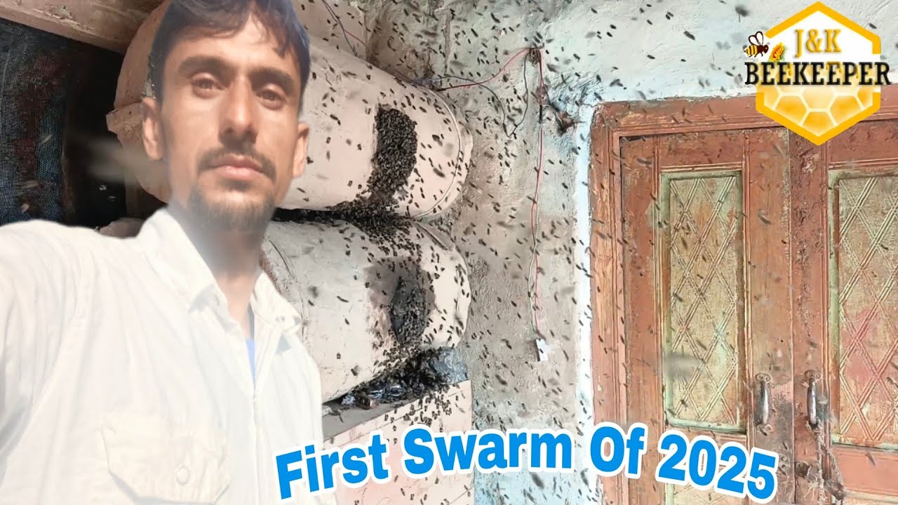 Beekeeping Season Begins: First Swarm of 2025 | Traditional Beekeeping | Beekeeping  At Home