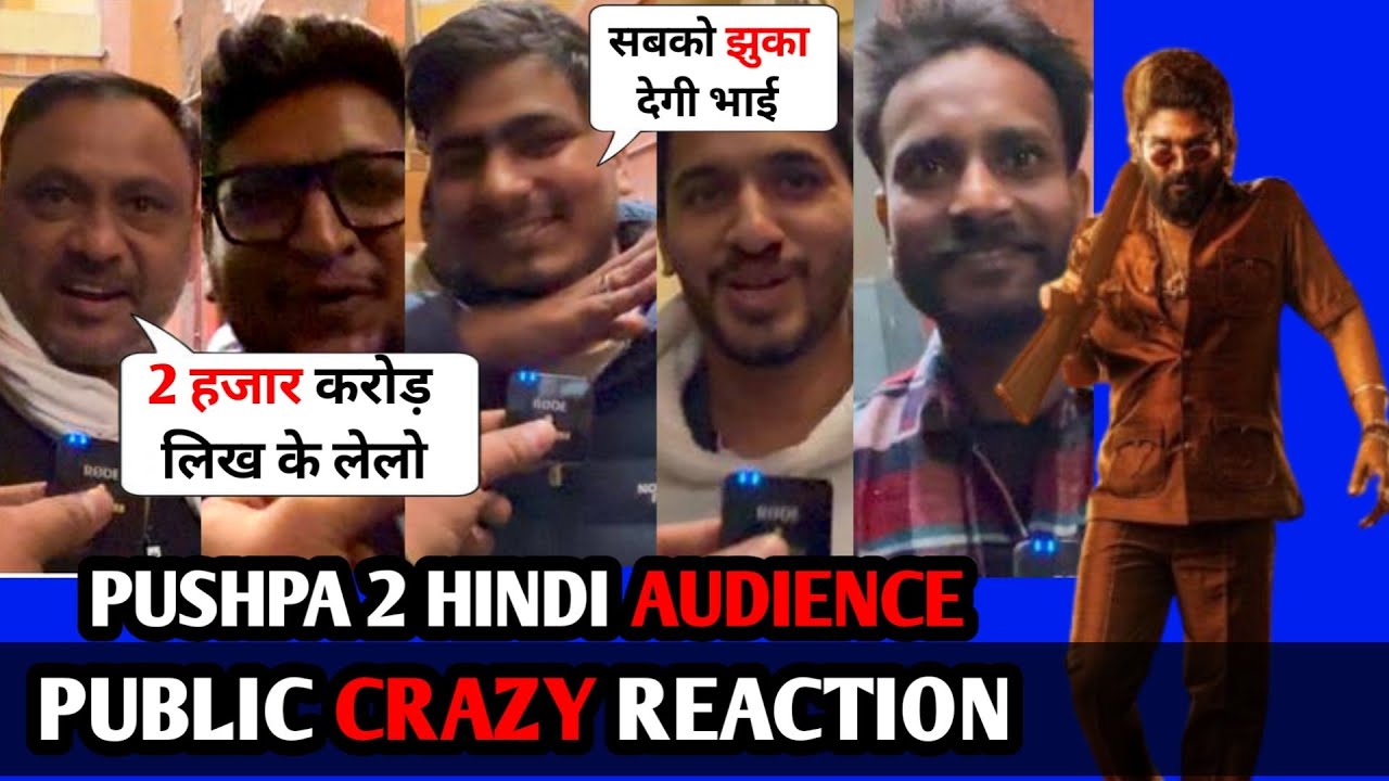 Pushpa 2 Public Review | Pushpa The Rule Hindi Audience Reaction | Pushpa CRAZY Public Review