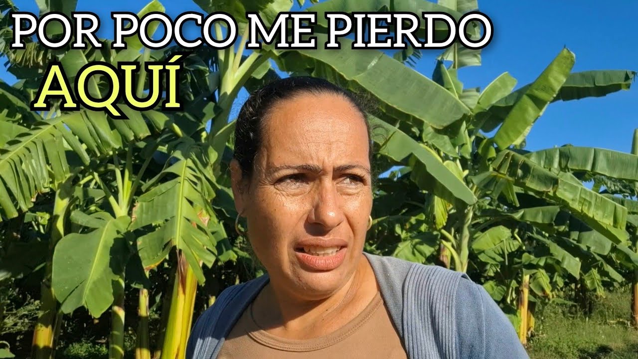 ¡Así están los Campos Cubanos Hoy!