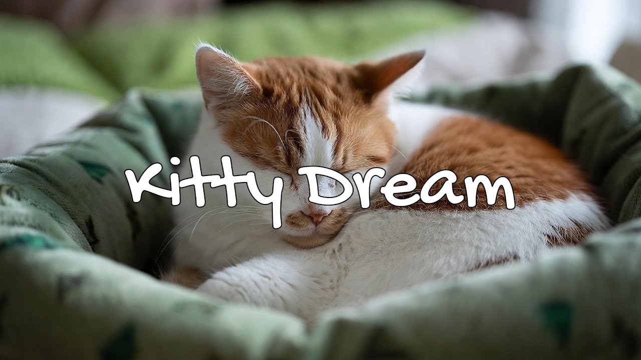 LIVE Cozy Cat Sleeping Soundly 💤 | Season 2 | 24/7 Lofi Radio 📻