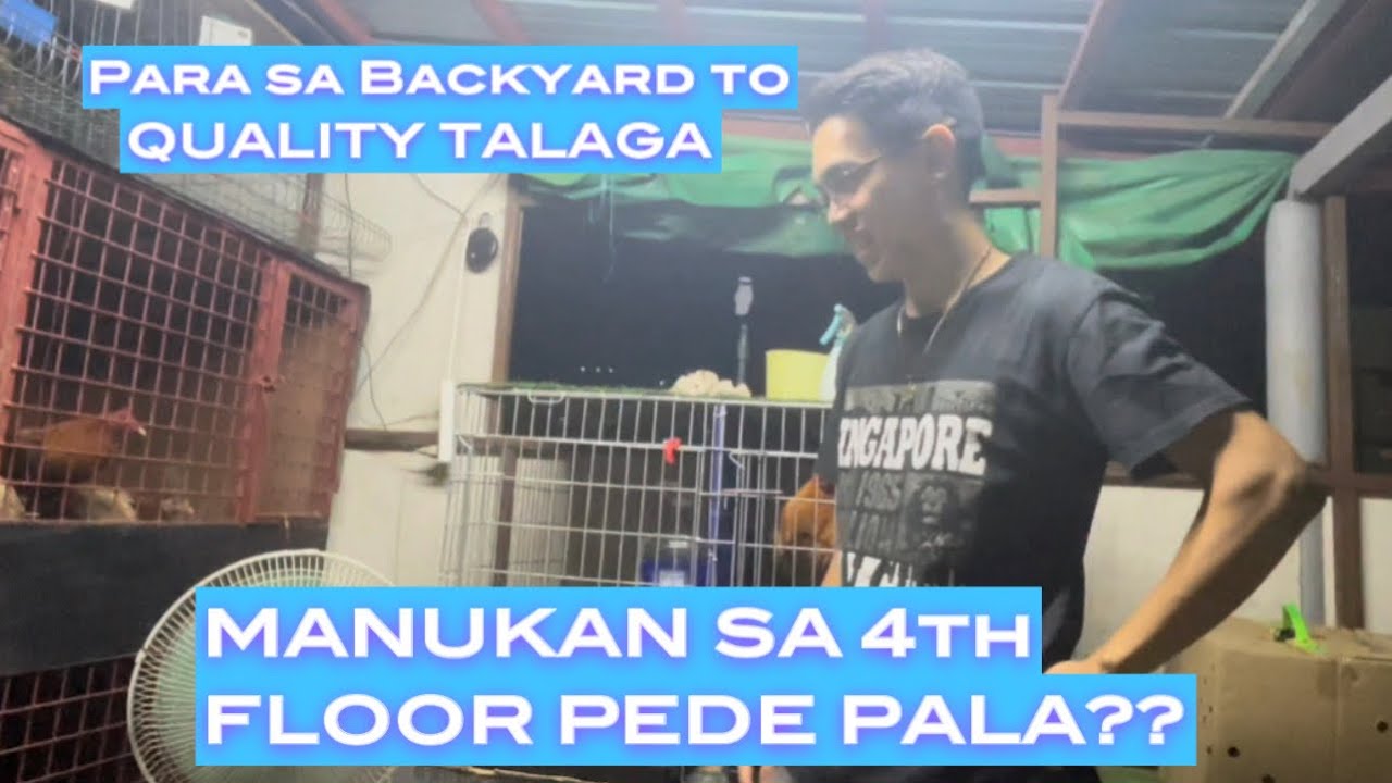 MANUKAN SA IKA APAT NA PALAPAG