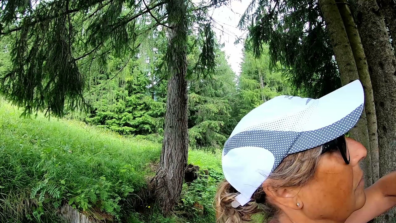 Vigo di Fassa Tamion Valongia passeggiata intorno casa